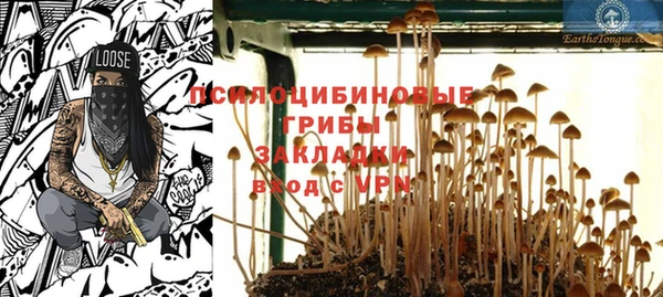 apvp Алзамай