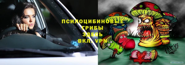 PSILOCYBIN Новоузенск