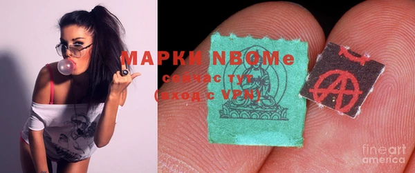 apvp Алзамай
